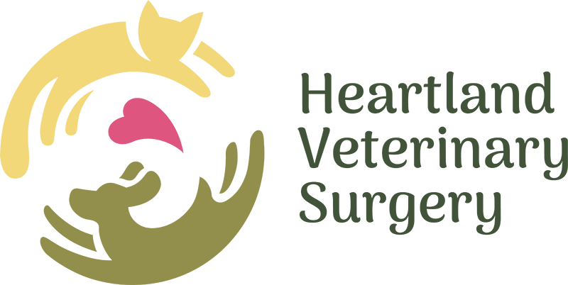 Heartland Veterinary Surgery